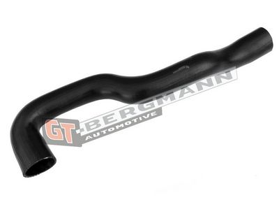 Hadička plnicího vzduchu GT-BERGMANN Automotive GT52-653