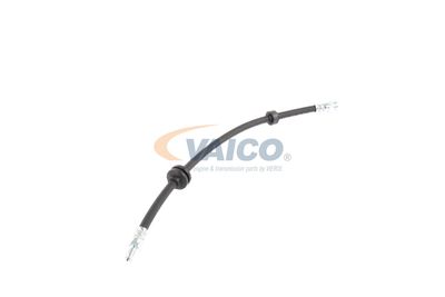 FURTUN FRANA VAICO V240328 43