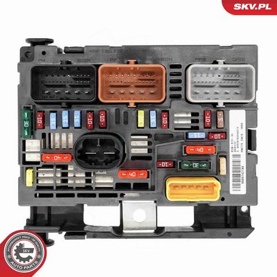 Steuergerät, Motormanagement