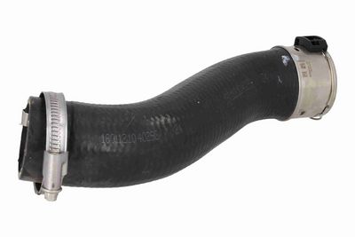 FURTUN EAR SUPRAALIMENTARE ACKOJA A520871 1