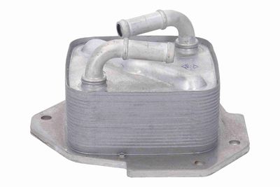 RADIATOR ULEI ULEI MOTOR ACKOJA A32600011 6