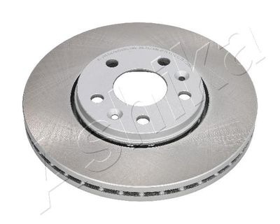 Brake Disc 60-01-179C