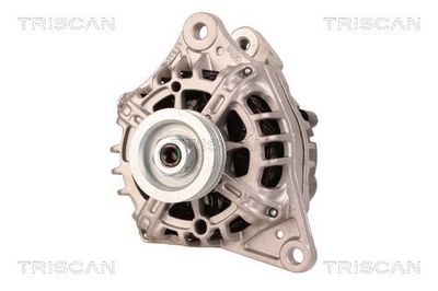 генератор TRISCAN 8310 14006