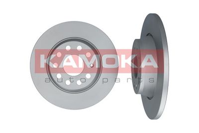 1031005 KAMOKA Тормозной диск