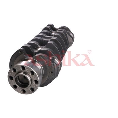 ARBORE COTIT ASHIKA 18IS002 1
