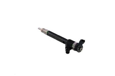 INJECTOR REMANTE 002003002242R 16