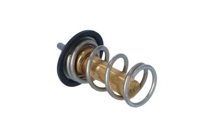 TERMOSTAT LICHID RACIRE NRF 725069 9