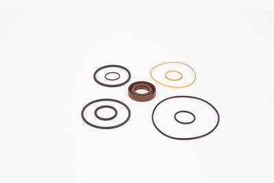 SET DE GARNITURI POMPA HIDRAULICA BOSCH 3083698001 13