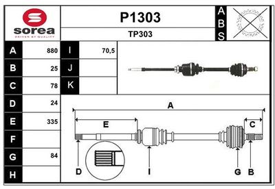 PLANETARA SNRA P1303