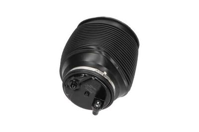 ARC PNEUMATIC DIRECTIE Kavo Parts SAS10012 25