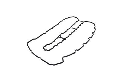 GARNITURA CAPAC SUPAPE