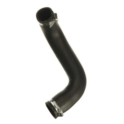 FURTUN EAR SUPRAALIMENTARE GATES 090609 55