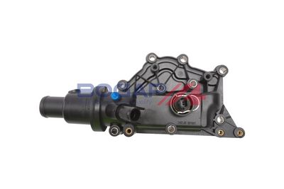 TERMOSTAT LICHID RACIRE BOGAP R4234119 3