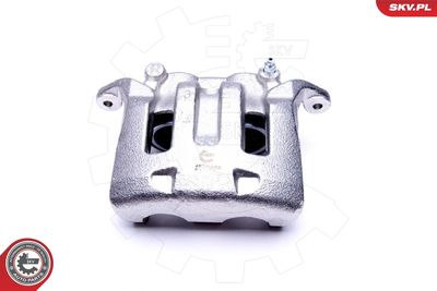 Brake Caliper 45SKV952