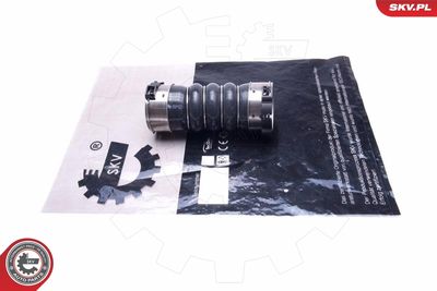 FURTUN EAR SUPRAALIMENTARE