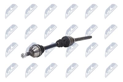 PLANETARA NTY NPWCT155 19