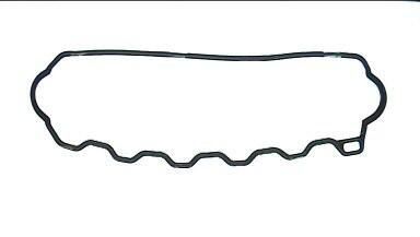 GARNITURA CAPAC SUPAPE PAYEN JN967