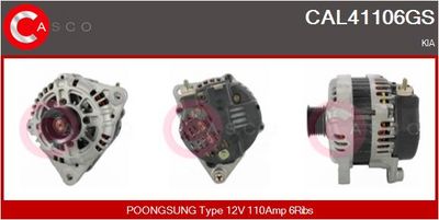 GENERATOR / ALTERNATOR