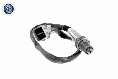 SONDA LAMBDA ACKOJA A53760012 2