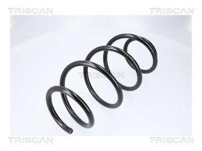 ARC SPIRAL TRISCAN 875029581 1