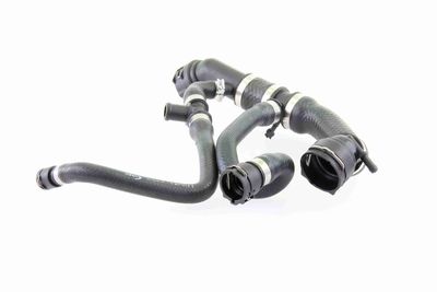 KüHLERSCHLAUCH VAICO V201669 2