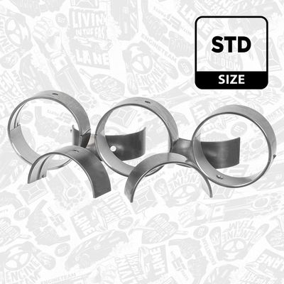 SET RULEMT ARBORE COTIT ET ENGINETEAM LH007100 1