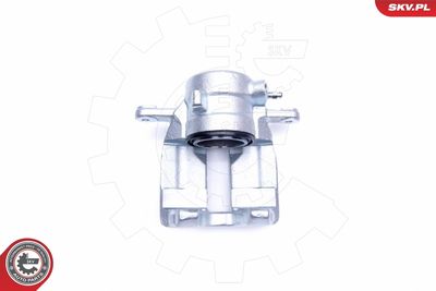 Brake Caliper 44SKV141