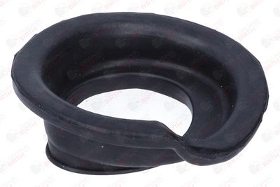 SAIBA ARC BIRTH 56745 10