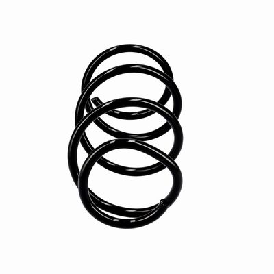 ARC SPIRAL EIBACH R10355 1