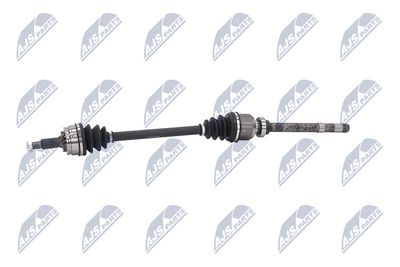 PLANETARA NTY NPWCT073 23