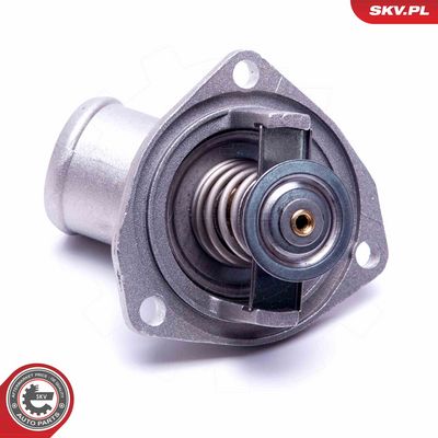 Termostatas, aušinimo skystis