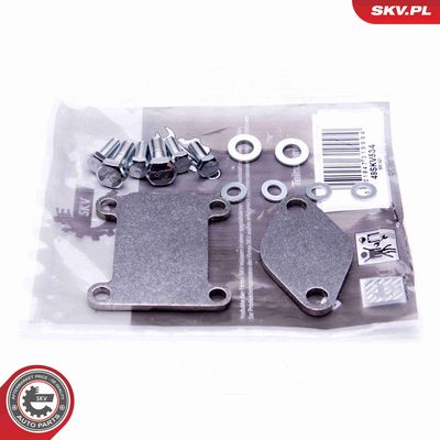 SET DE REPARAțIE SUPAPă AGR ESEN SKV 14SKV502