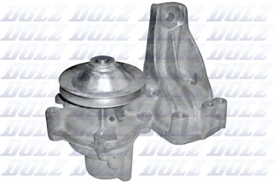 DOLZ S144 Помпа (водяной насос)  для FIAT REGATA (Фиат Регата)