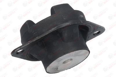 SUPORT MOTOR BIRTH 5630 6