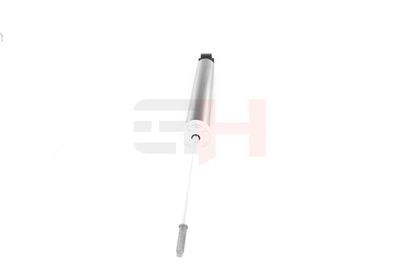 AMORTIZOR GH GH333673 17