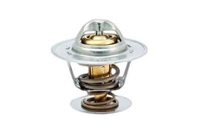 TERMOSTAT LICHID RACIRE