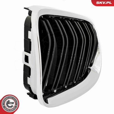 GRILA RADIATOR ESEN SKV 66SKV118 8