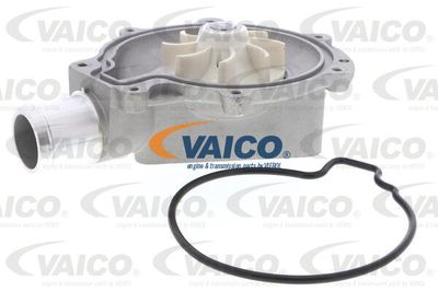 VAICO V24-50021 Помпа (водяний насос) 