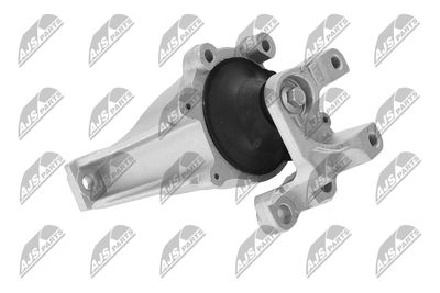 SUPORT MOTOR NTY ZPSHD123 29