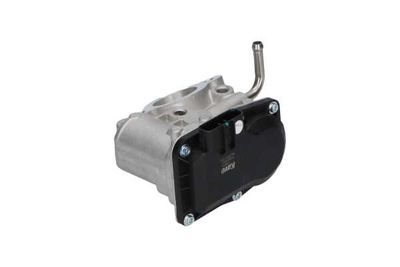 SUPAPA EGR Kavo Parts EEG8003 13