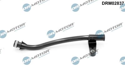 Dr.Motor Automotive Trichter, Ölpeilstab