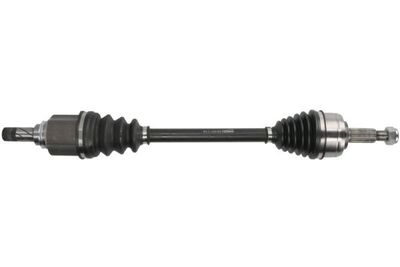 полуоска PASCAL G2R196PC