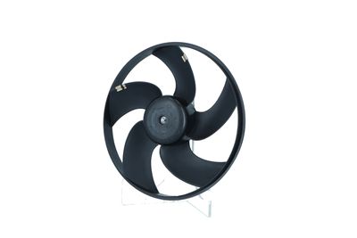 360 Grad Ansicht 4