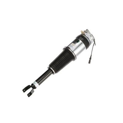 LUFTFEDERBEIN Arnott AS3031 61