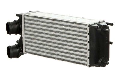 интеркулер (охладител за въздуха на турбината) A.Z. Meisterteile AZMT-45-034-1139
