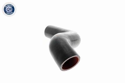 FURTUN EAR SUPRAALIMENTARE VAICO V460743 7