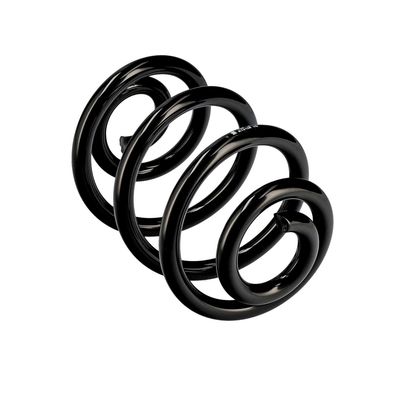 ARC SPIRAL EIBACH R10106 23