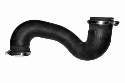 FURTUN EAR SUPRAALIMENTARE