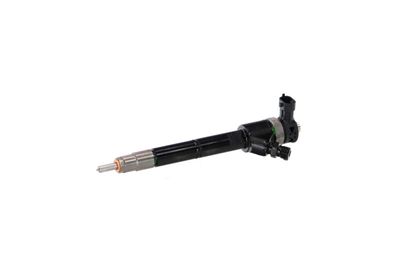 INJECTOR REMANTE 002003002307R 65