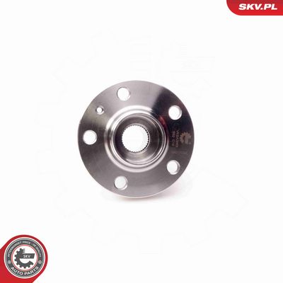 SET RULMENT ROATA ESEN SKV 29SKV005 2